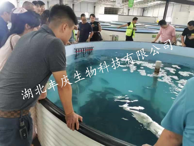 湖北豐慶生物科技有限公司