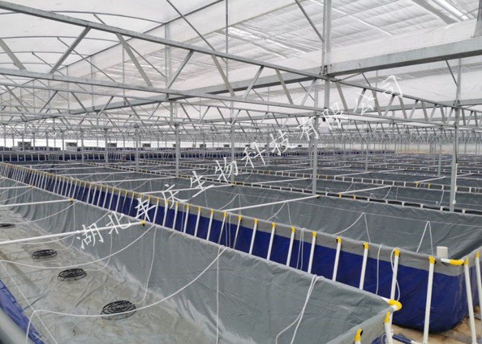 湖北豐慶生物科技有限公司