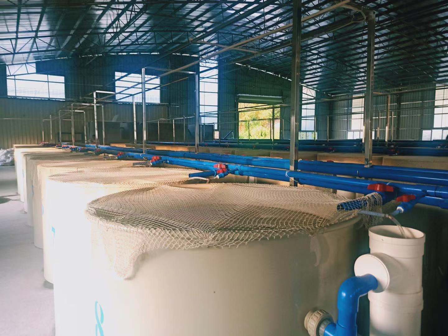 湖北豐慶生物科技有限公司