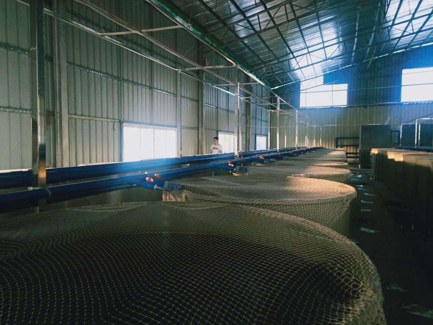 湖北豐慶生物科技有限公司